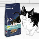 FELIX Trockenfutter – knusprige Kroketten mit Vitaminen und Nährstoffen für ausgewachsene Katzen.